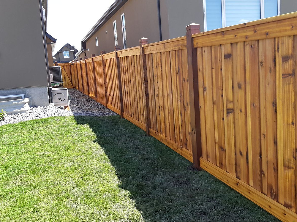 Garden Fence